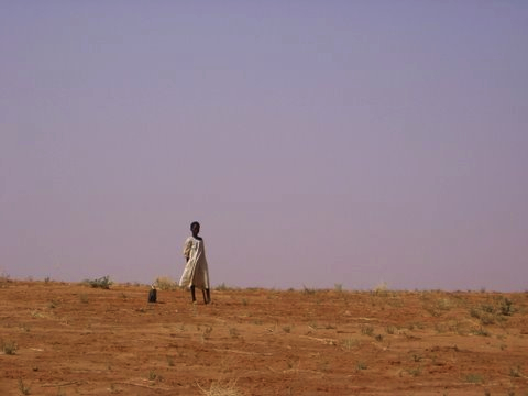 LAW_Accountability_for_sexual-violence