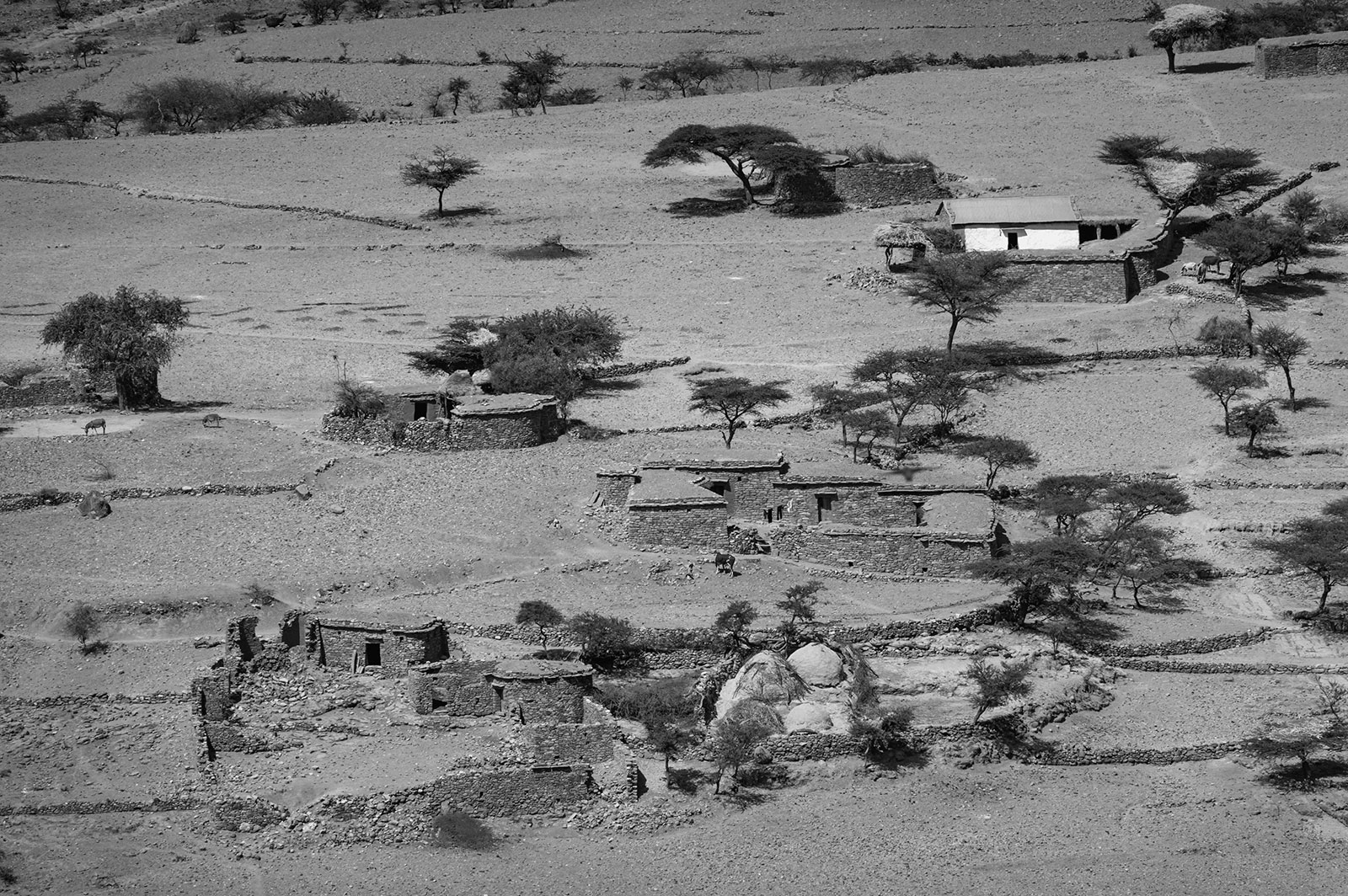 tigray - landscape